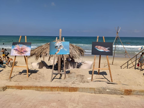 תערוכת צילום תת ימי בשיתוף צלמים מקומיים