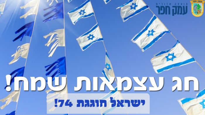 דגלי ישראל. ישראל חוגג 74. חג עצמאות שמח