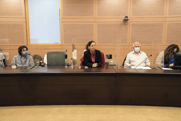 ראשת המועצה ד"ר גלית שאול בדיון בוועדת הפנים והגנת הסביבה בכנסת