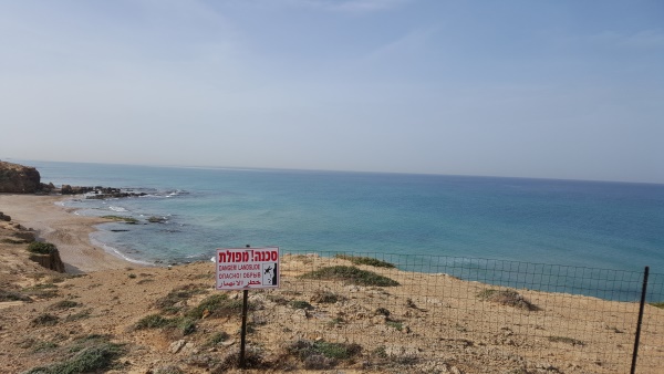 טביעה