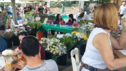 קפה, צילום: בשמת גטניו