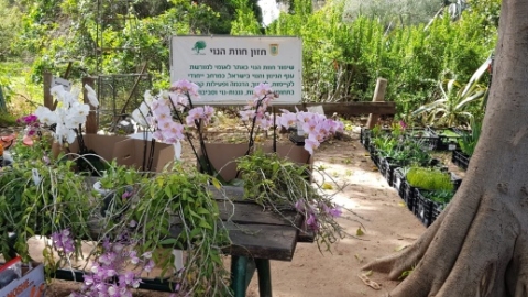 	חוות נוי