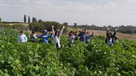 שורשים