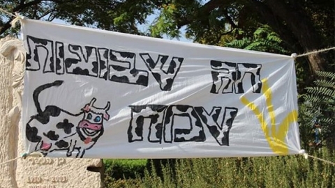 אחיטוב.jpg